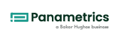 panametrics